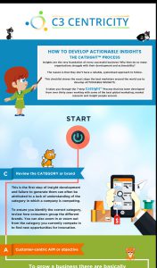 Final HD CatSight Process e