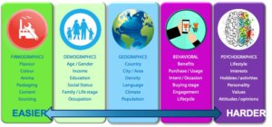 Segmentation for success